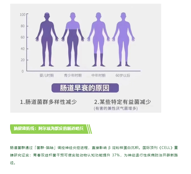 肠道菌群丨您的「第二大脑」如何左右寿命长短