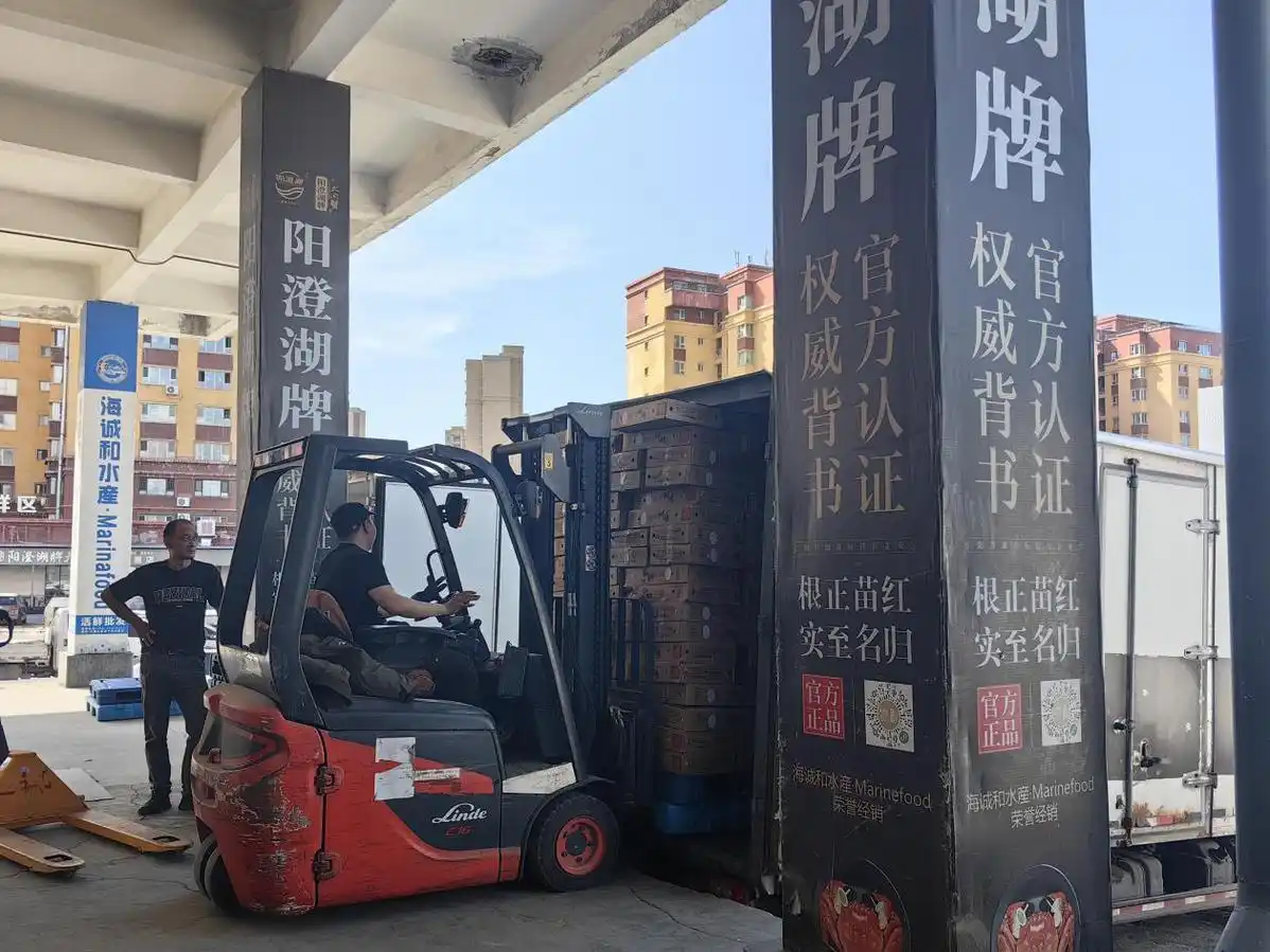 TIR國際運輸提速中哈農貿合作,新疆打通高效跨境物流新通道 TIR國際運輸提速中哈農貿合作,新疆打通高效跨境物流新通道