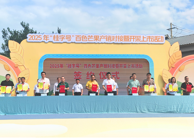 壹品慧千万订单签约百色芒果，助力桂果香飘全国