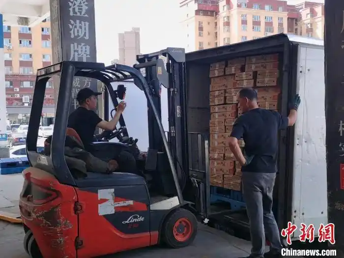 國際公路運輸（TIR）+屬地直通 新疆筑就跨境物流高效新徑