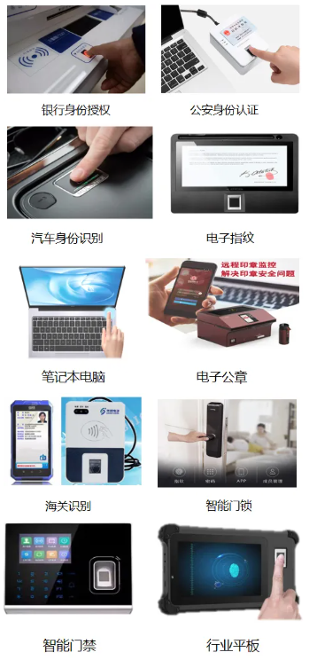 十年磨一剑！芯启航活体指纹识别产品，让假指纹无处遁形！