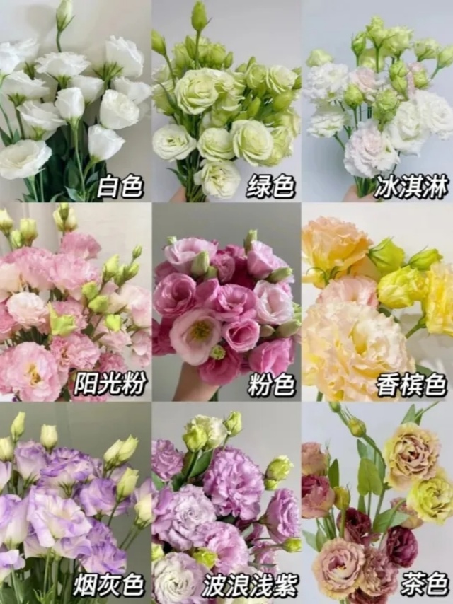 夏天我和你有一场关于鲜花的邂逅 夏天我和你有一场关于鲜花的邂逅
