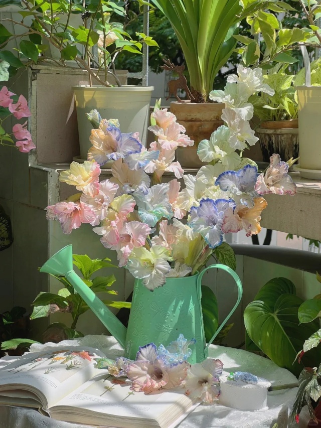 夏天我和你有一场关于鲜花的邂逅 夏天我和你有一场关于鲜花的邂逅