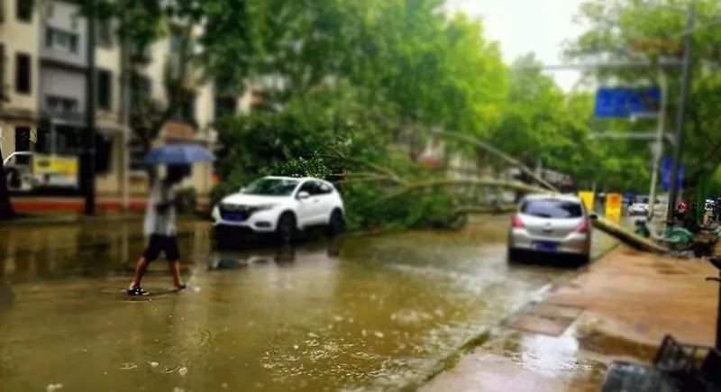 暴雨暴曬輪番上陣！三招讓愛車安然度夏