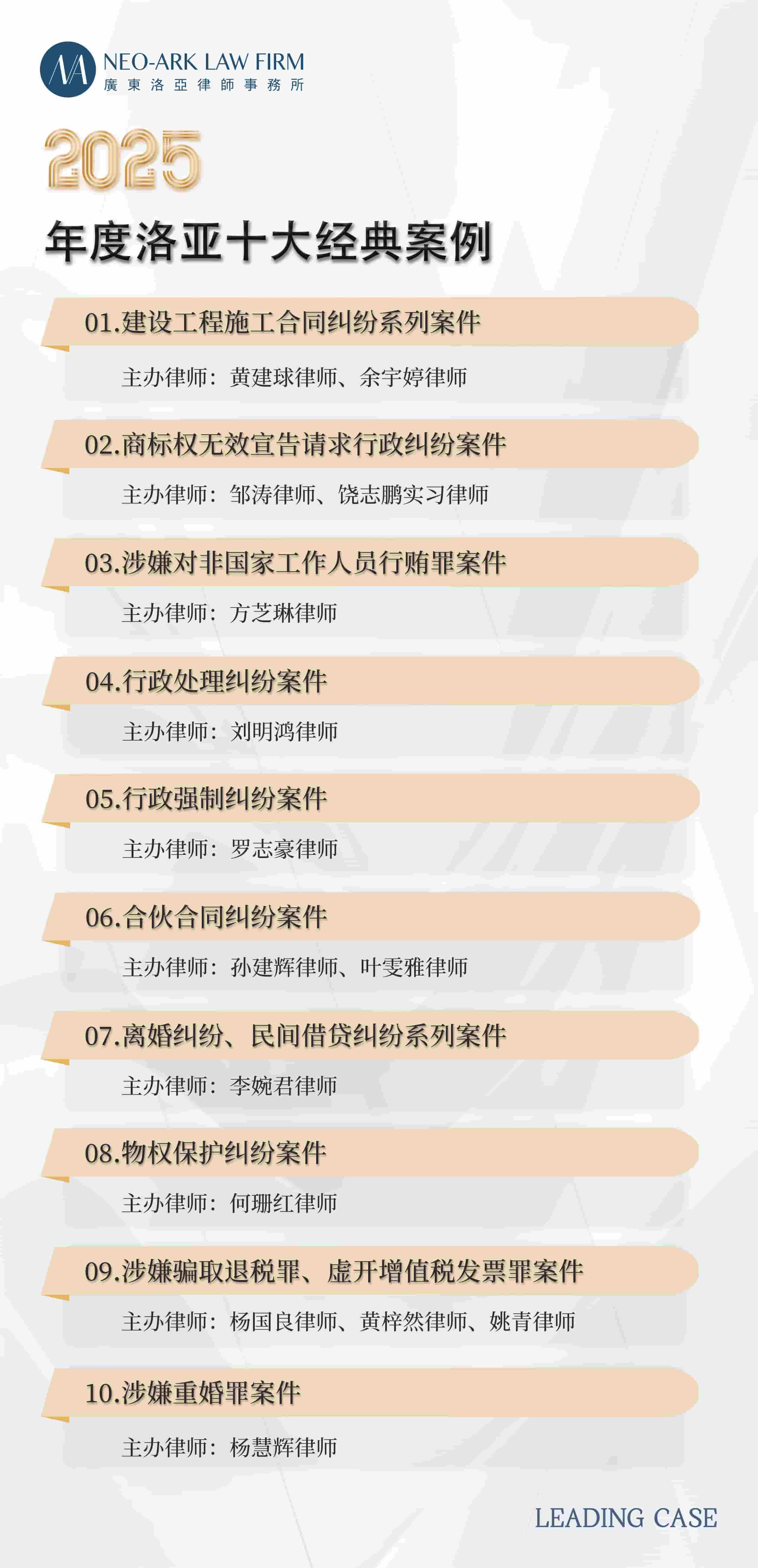 2025年度洛亚十大经典案例