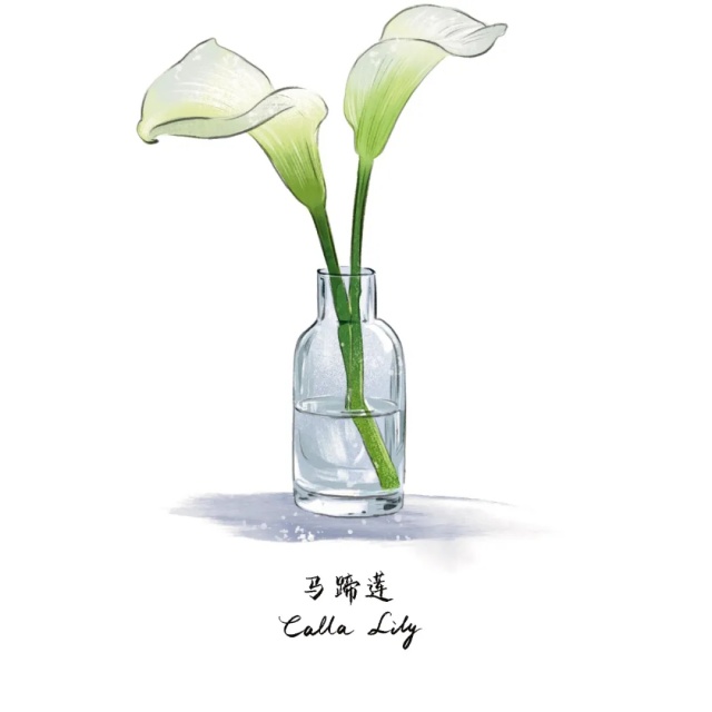 猫狗双全且绿植环绕的好日子是谁在过? 猫狗双全且绿植环绕的好日子是谁在过?