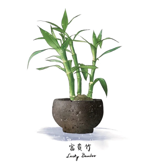 猫狗双全且绿植环绕的好日子是谁在过? 猫狗双全且绿植环绕的好日子是谁在过?