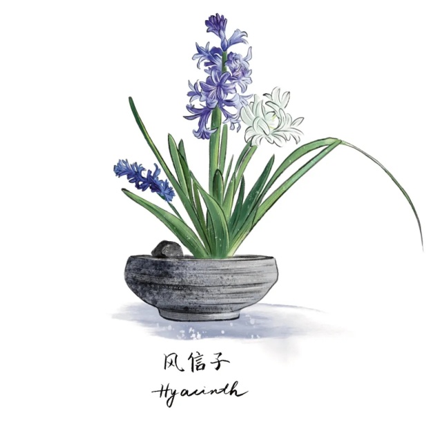 猫狗双全且绿植环绕的好日子是谁在过? 猫狗双全且绿植环绕的好日子是谁在过?