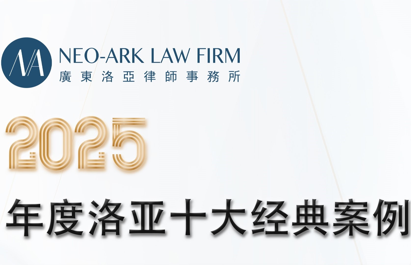 2025年度洛亚十大经典案例