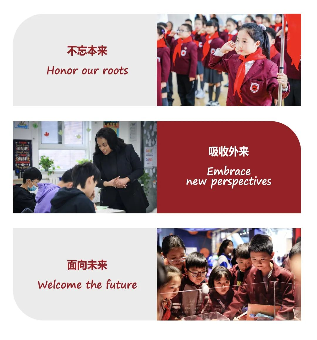 官宣！枫叶小熊获授“侨胞之家”：十五载志愿服务温暖前行