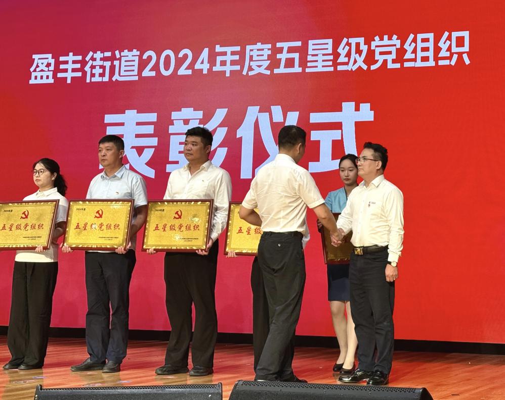 杭州中燃党支部荣获盈丰街道“五星级党组织”殊荣