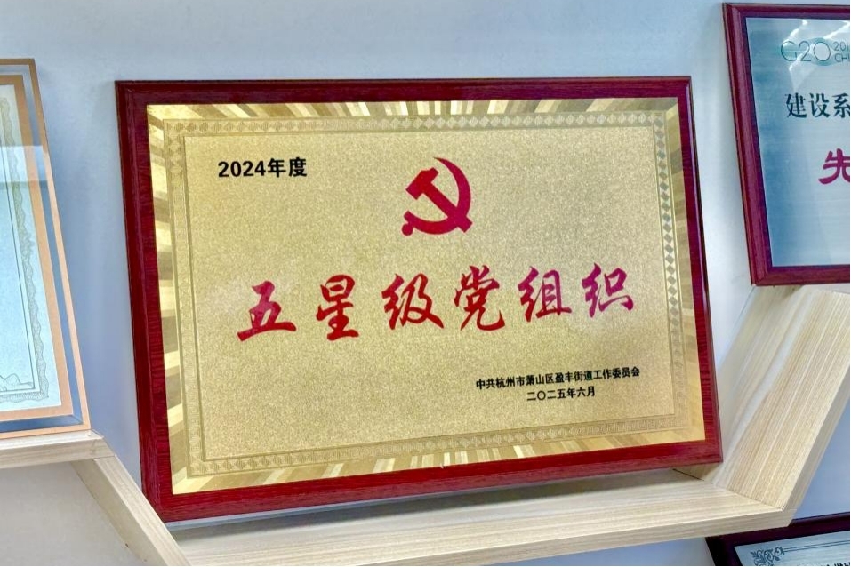 杭州中燃党支部荣获盈丰街道“五星级党组织”殊荣