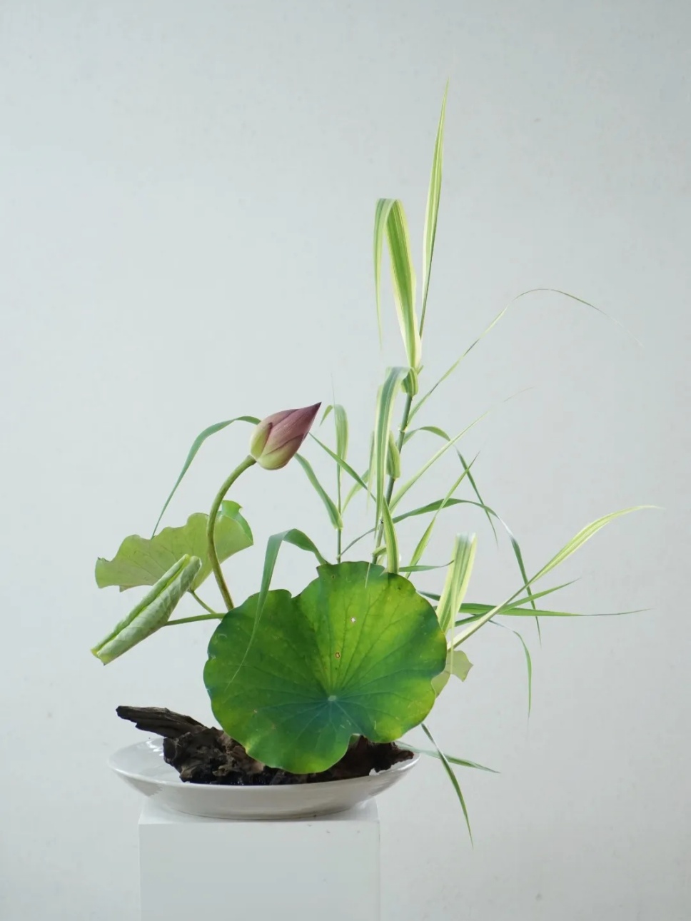 30个名师荷花插花作品,清凉整个夏日时光 30个名师荷花插花作品,清凉整个夏日时光