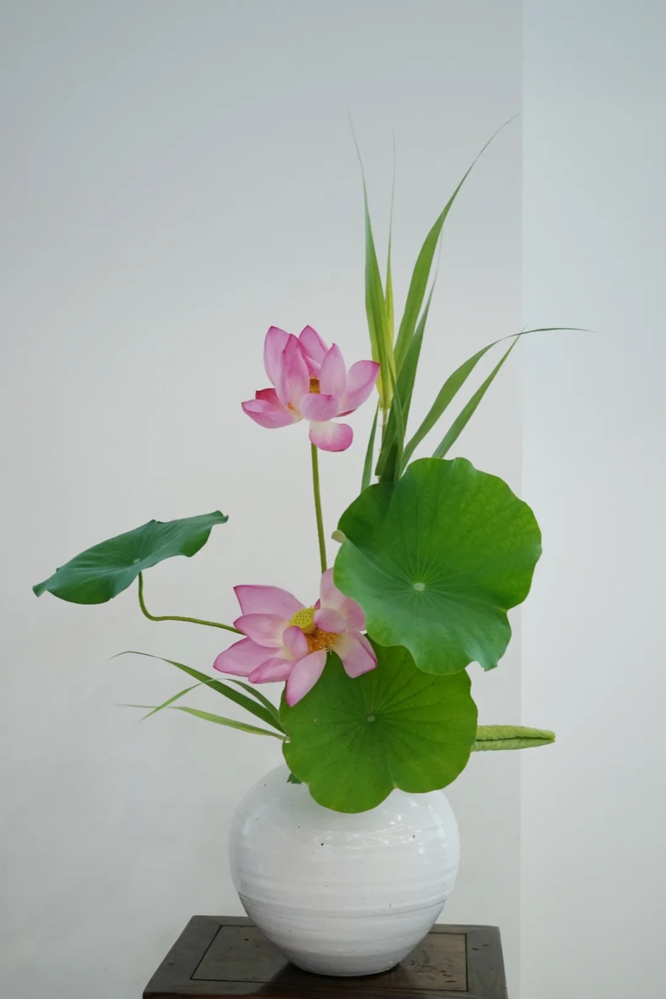 30个名师荷花插花作品,清凉整个夏日时光 30个名师荷花插花作品,清凉整个夏日时光