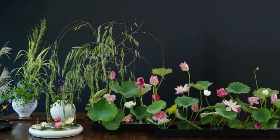 30个名师荷花插花作品,清凉整个夏日时光 30个名师荷花插花作品,清凉整个夏日时光