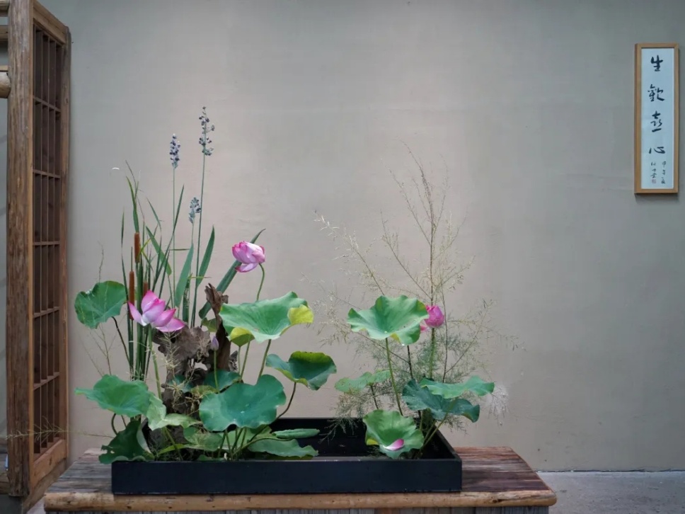 30个名师荷花插花作品,清凉整个夏日时光 30个名师荷花插花作品,清凉整个夏日时光