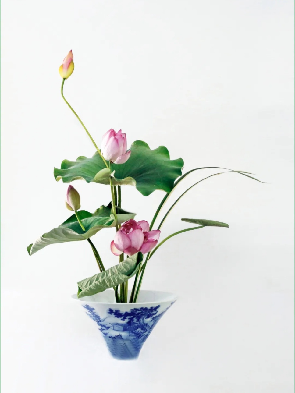 30个名师荷花插花作品,清凉整个夏日时光 30个名师荷花插花作品,清凉整个夏日时光
