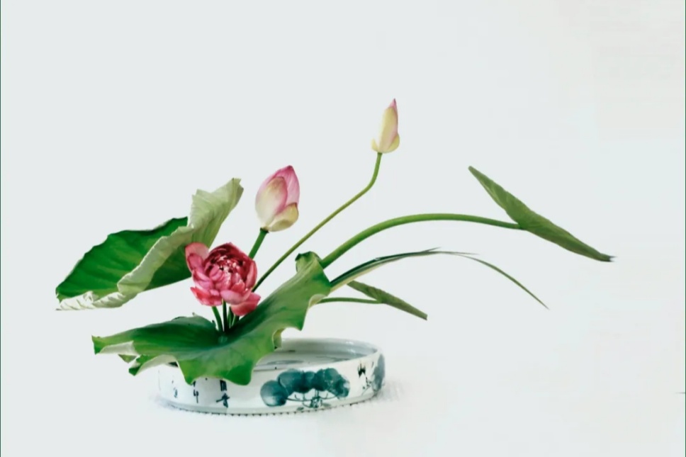 30个名师荷花插花作品,清凉整个夏日时光 30个名师荷花插花作品,清凉整个夏日时光