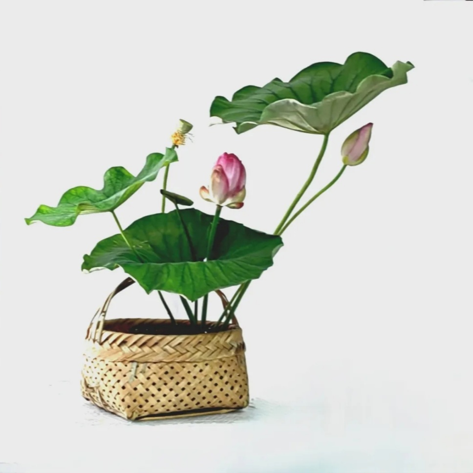 30个名师荷花插花作品,清凉整个夏日时光 30个名师荷花插花作品,清凉整个夏日时光