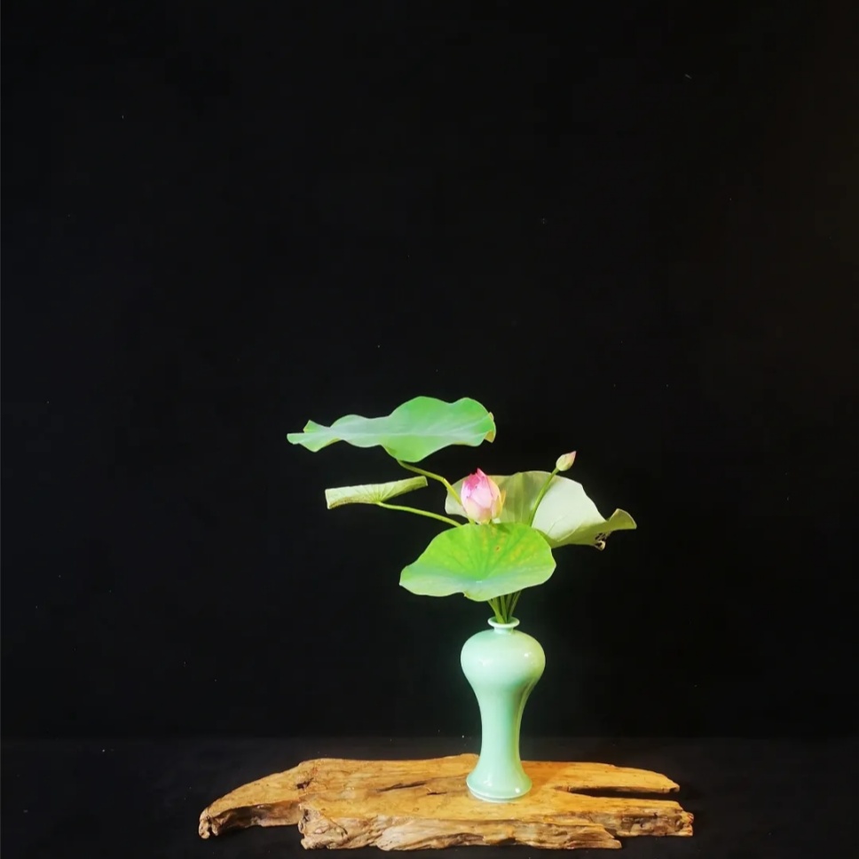 30个名师荷花插花作品,清凉整个夏日时光 30个名师荷花插花作品,清凉整个夏日时光