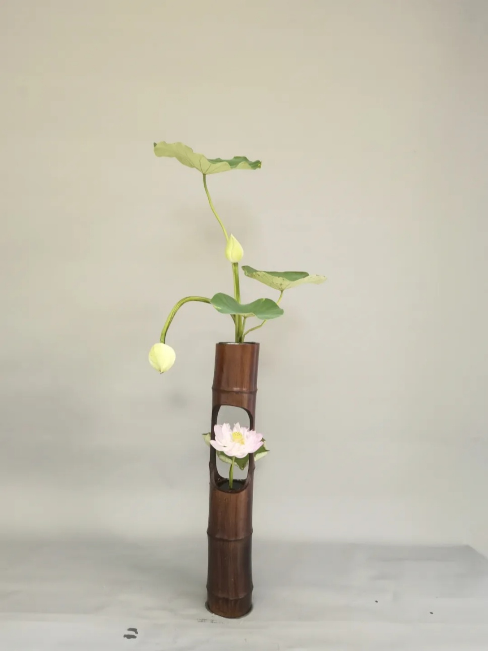 30个名师荷花插花作品,清凉整个夏日时光 30个名师荷花插花作品,清凉整个夏日时光