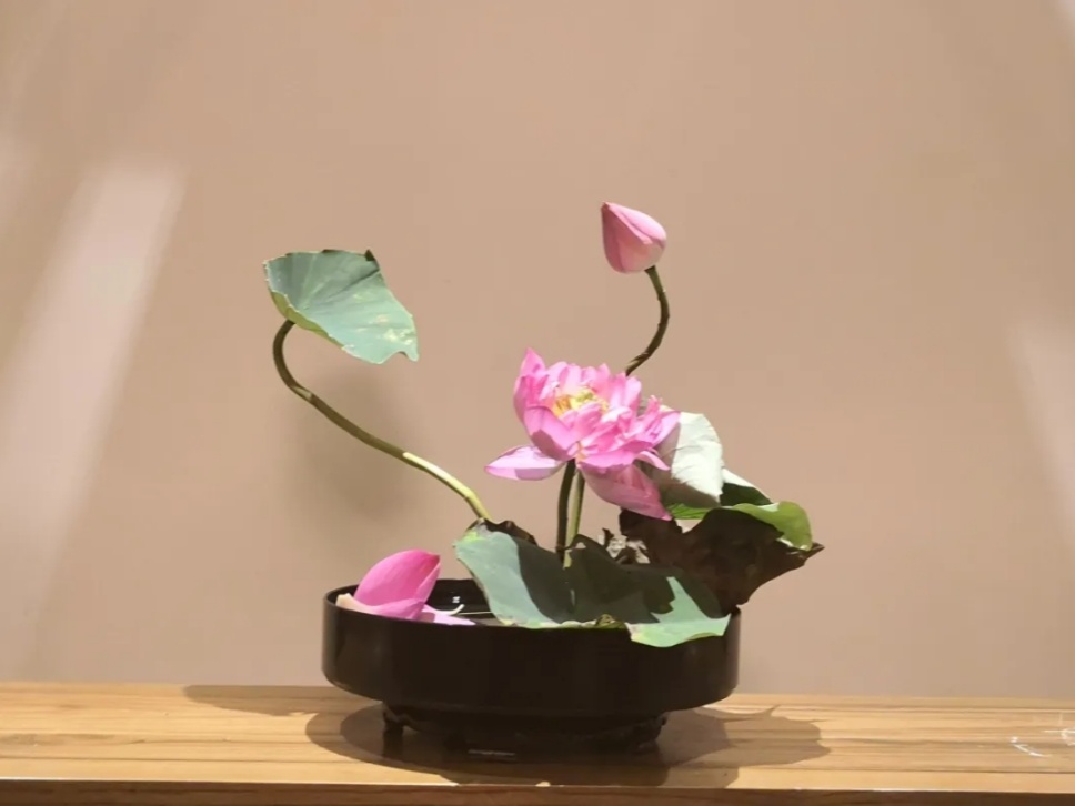 30个名师荷花插花作品,清凉整个夏日时光 30个名师荷花插花作品,清凉整个夏日时光