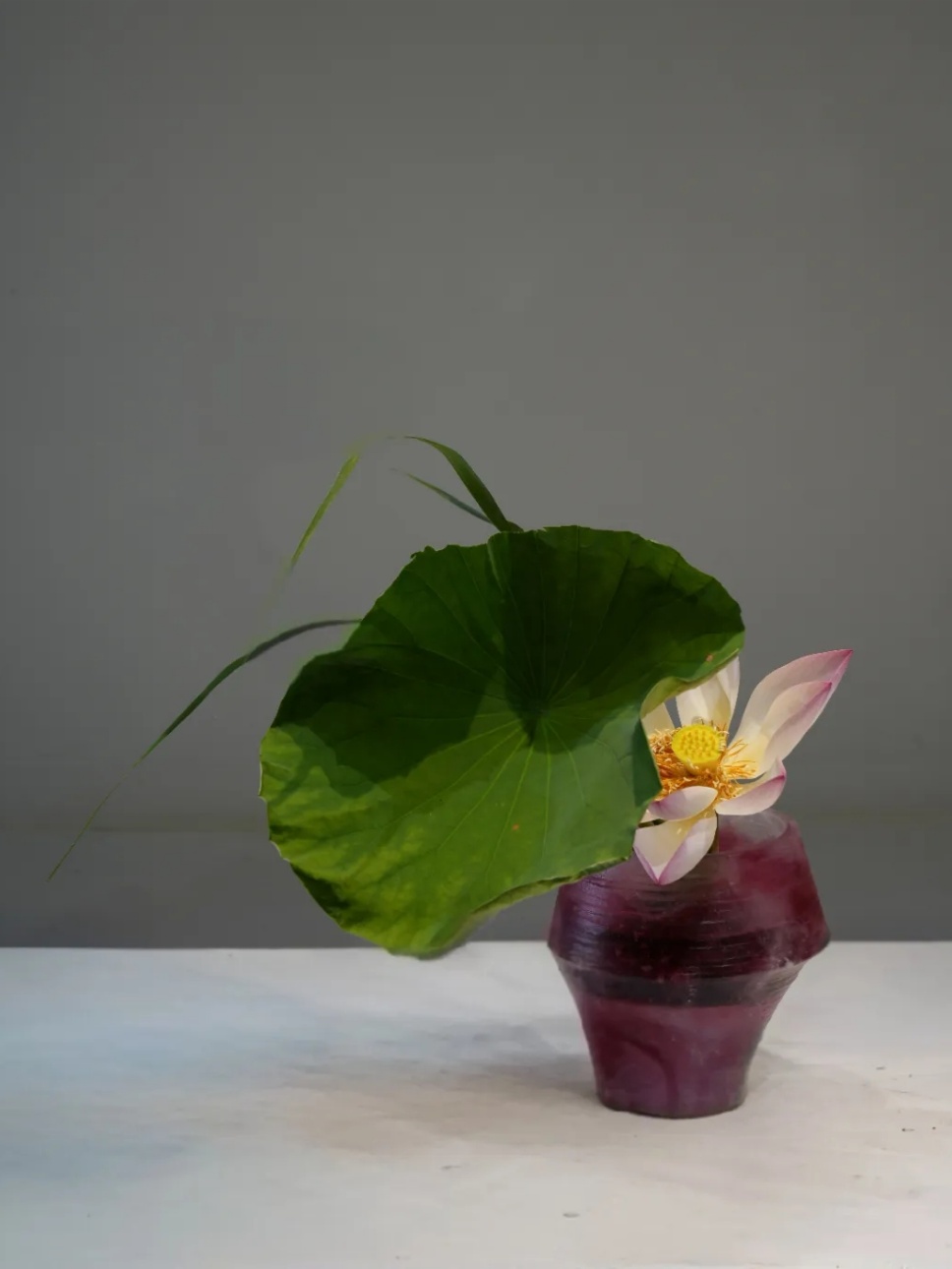 30个名师荷花插花作品,清凉整个夏日时光 30个名师荷花插花作品,清凉整个夏日时光