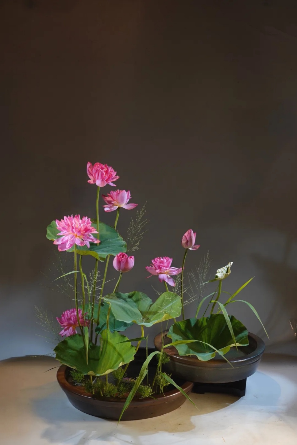 30个名师荷花插花作品,清凉整个夏日时光 30个名师荷花插花作品,清凉整个夏日时光