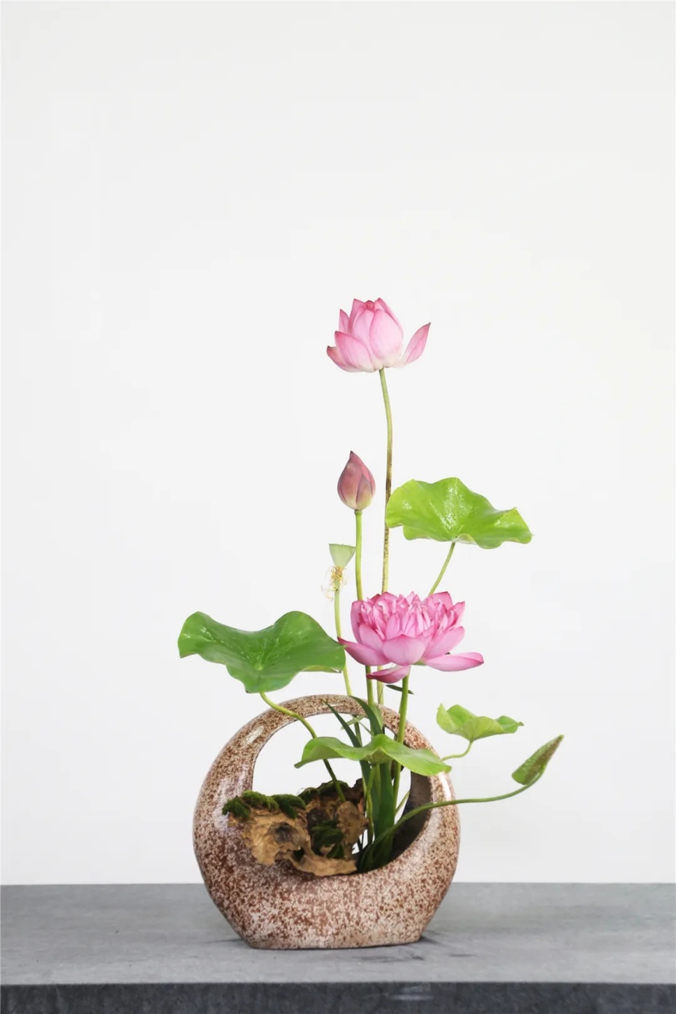 30个名师荷花插花作品,清凉整个夏日时光 30个名师荷花插花作品,清凉整个夏日时光