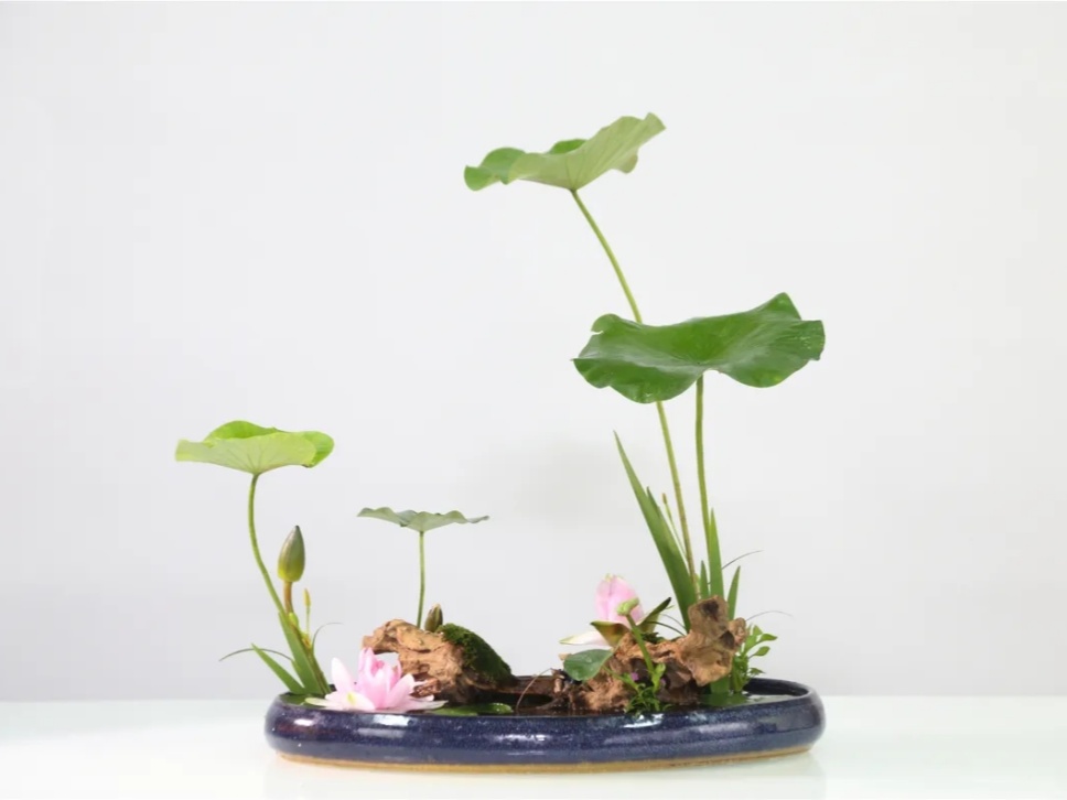30个名师荷花插花作品,清凉整个夏日时光 30个名师荷花插花作品,清凉整个夏日时光