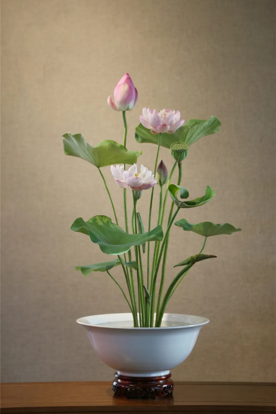 30个名师荷花插花作品,清凉整个夏日时光 30个名师荷花插花作品,清凉整个夏日时光
