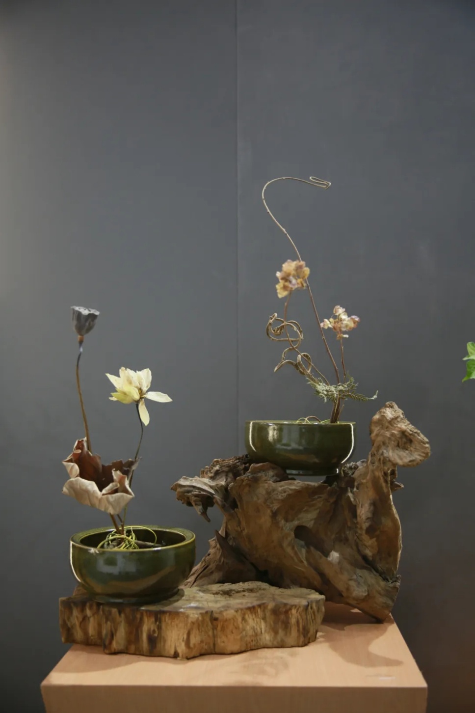 30个名师荷花插花作品,清凉整个夏日时光 30个名师荷花插花作品,清凉整个夏日时光