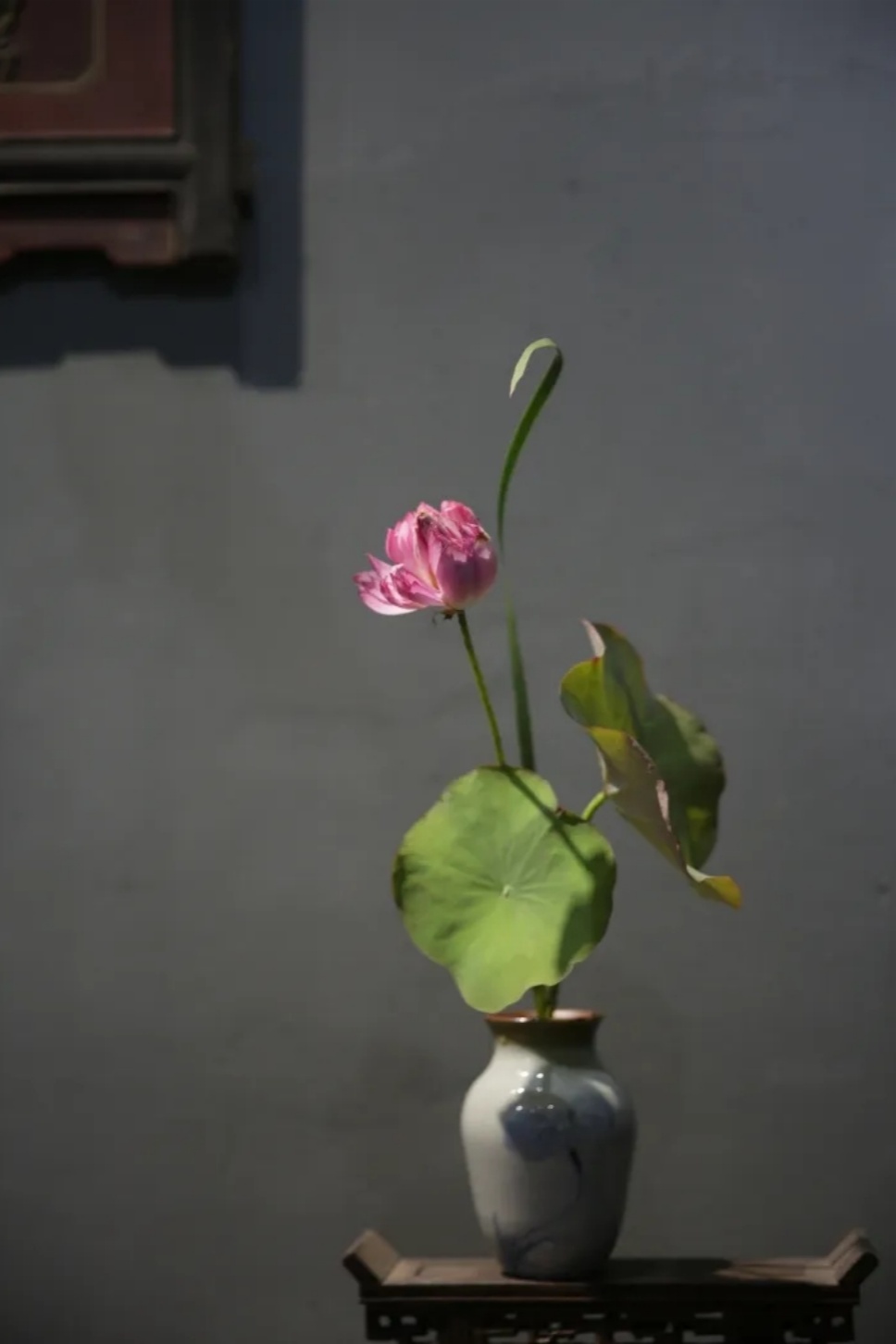 30个名师荷花插花作品,清凉整个夏日时光 30个名师荷花插花作品,清凉整个夏日时光