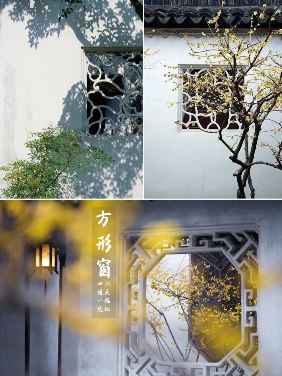 中式大宅中美到极致的花窗! 中式大宅中美到极致的花窗!