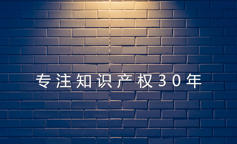携手联盟,共筑知识产权发展新高地 携手联盟,共筑知识产权发展新高地