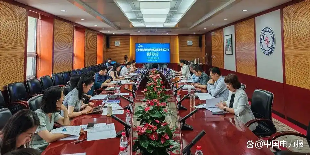 【行业观察】中电联发布《中国电力行业年度发展报告2025》