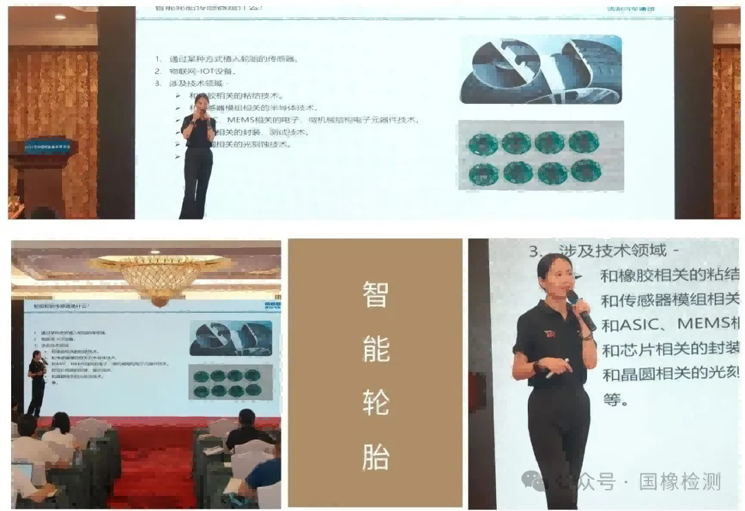 2025年中国轮胎剖析研讨会在京成功召开