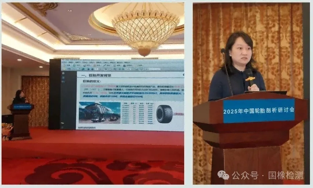 2025年中国轮胎剖析研讨会在京成功召开