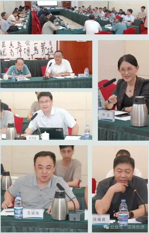 2025年中国轮胎剖析研讨会在京成功召开