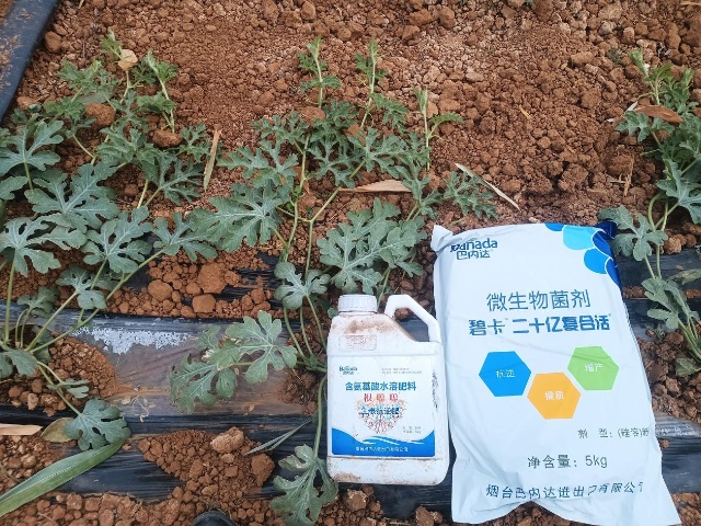 水溶肥選擇指南：如何挑選適合的“品牌”