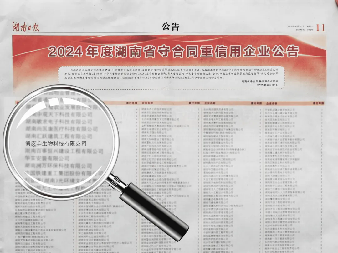 俏皮羊获评2024年度湖南省守合同重信用企业！