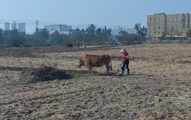 土地执法中如何判定地类？