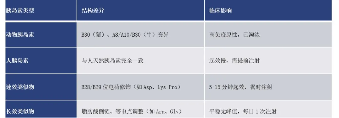 司美格鲁肽 vs 替尔泊肽：千亿GLP-1市场的双雄对决与迭代挑战 | 倚锋硬分享