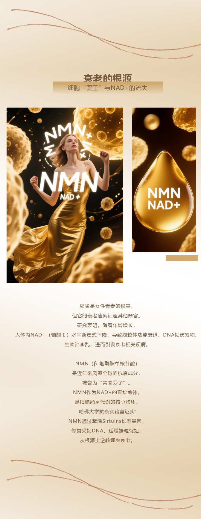 艾闺蜜NMN活力霜999 | 延缓衰老 · 逆龄新生