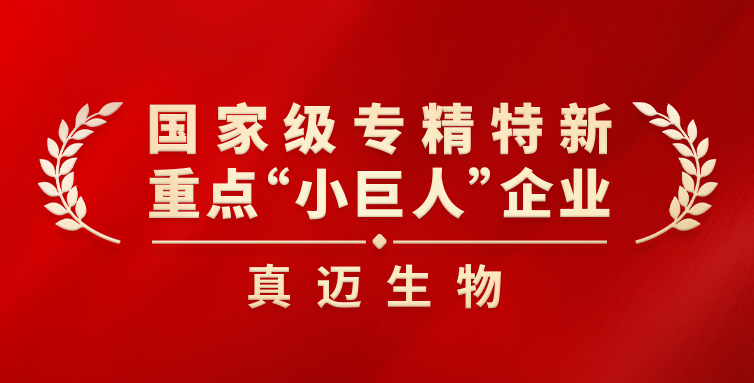生日快乐！13载聚萤成焰 此刻悦动生风