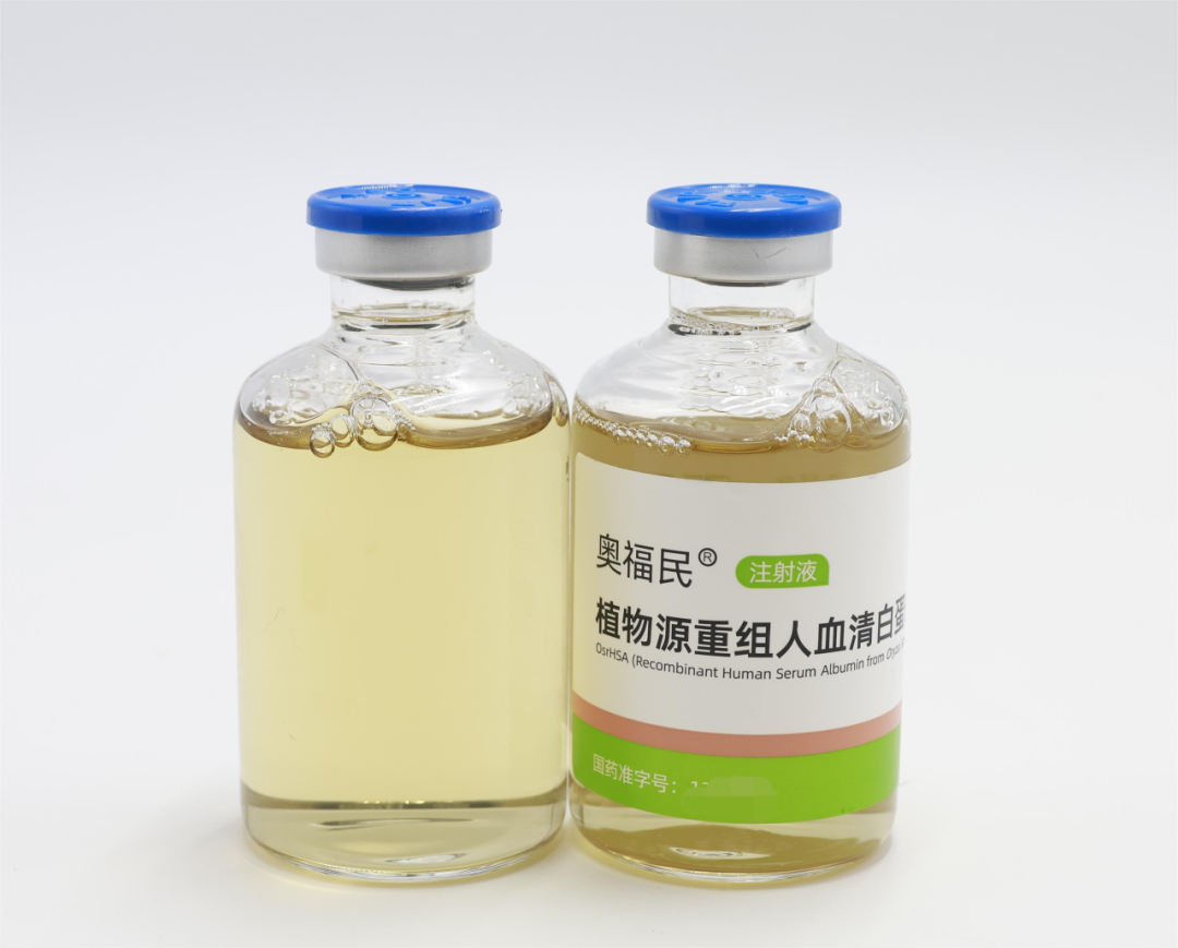 全球首创“稻米造血”技术!禾元生物植物源重组人血清白蛋白注射液获批上市 | 锋投动态 全球首创“稻米造血”技术!禾元生物植物源重组人血清白蛋白注射液获批上市 | 锋投动态