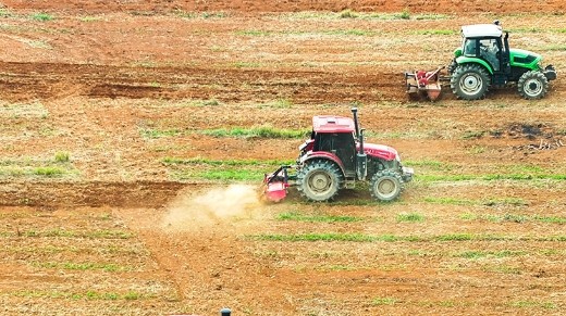 关于重新划定耕地和林地边界问题建议答复