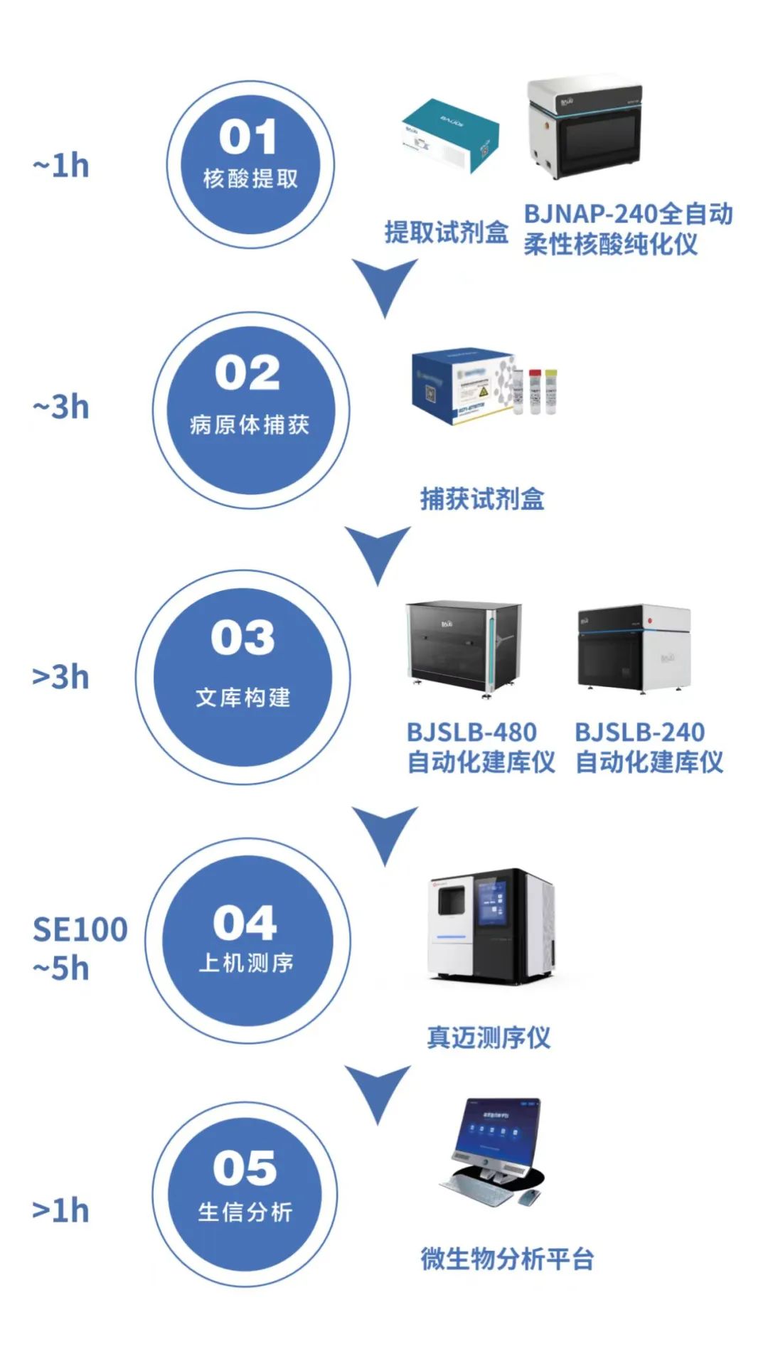 基孔肯雅熱疫情警報！真邁生物聯(lián)合柏熠科技發(fā)布蟲媒病原體測序整體解決方案