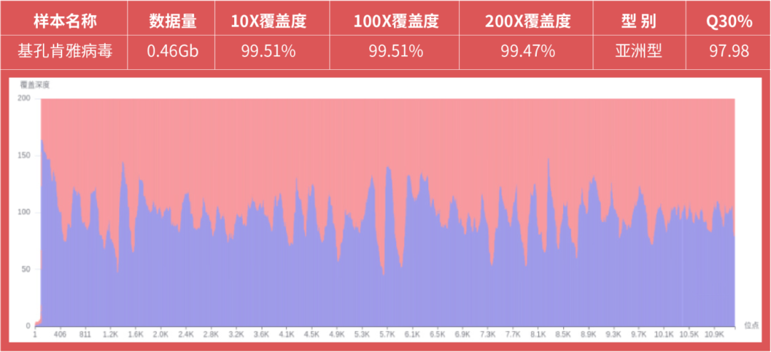 基孔肯雅熱疫情警報！真邁生物聯(lián)合柏熠科技發(fā)布蟲媒病原體測序整體解決方案