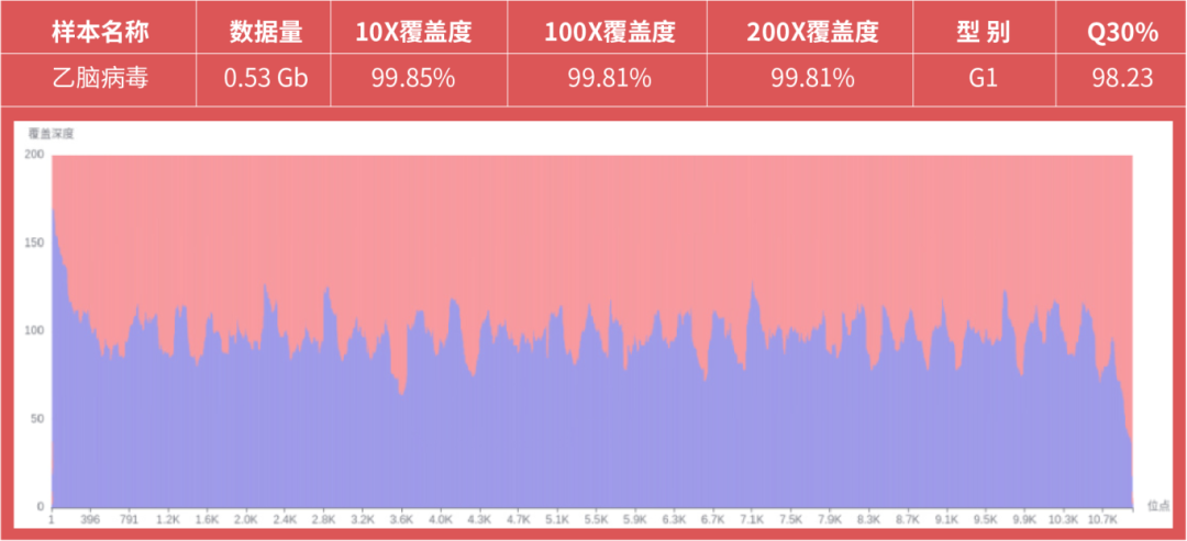 基孔肯雅熱疫情警報！真邁生物聯(lián)合柏熠科技發(fā)布蟲媒病原體測序整體解決方案